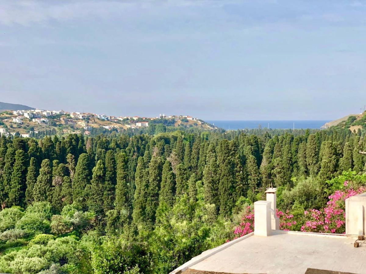 Villa Andros Epoque Livádhia Exteriör bild