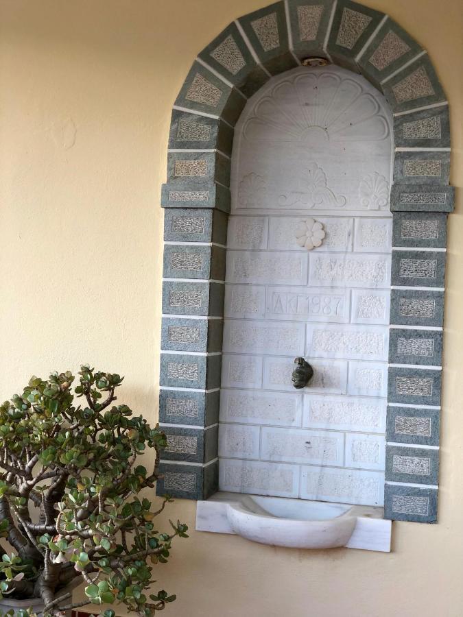 Villa Andros Epoque Livádhia Exteriör bild